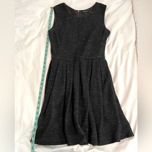 Aritzia pleated dress